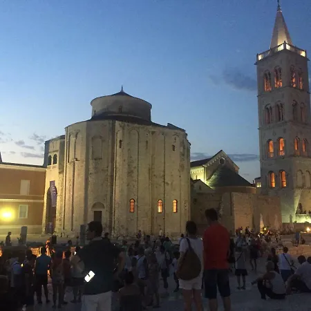 Touched Vip * 扎达尔